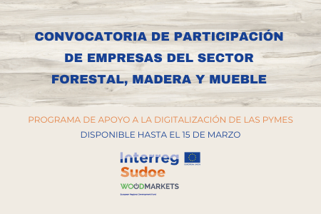 Convocatoria de participación de empresas del sector forestal, madera y mueble: programa de apoyo a la digitalización de las pymes en el marco del proyecto interreg SUDOE “Woodmarkets”